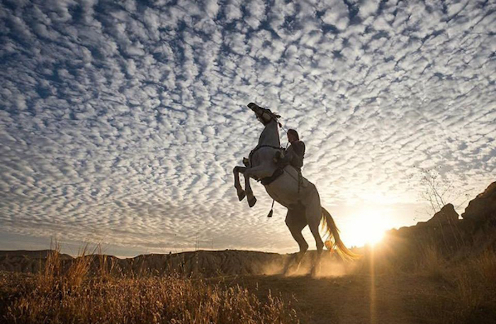 blauer himmel mit weißen wolken, ein reiter und ein weißes wildes pferd im sonnenuntergang, zum thema pferdebilder und schöne pferdesprüche 