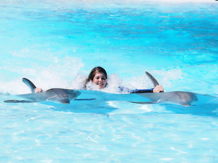 eine junge frau, die zusammen mit zwei grauen delfinen in einem pool mit einem klaren blauen wasser schwimmt - zum thema delfine schwimmen