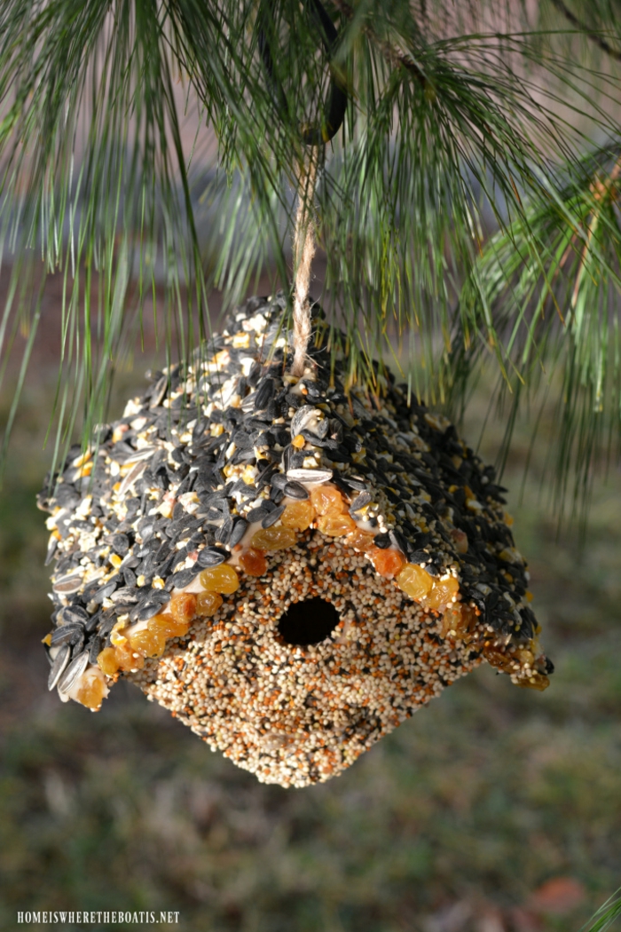 Futterhäuschen für Vögel selber machen, mit Samen, Sonnenblumenkernen und Rosinen bekleben