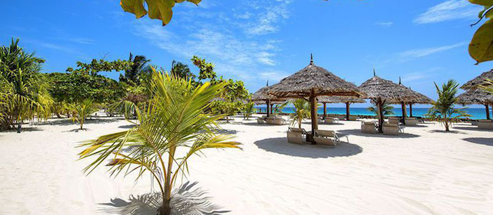 sansibar stadt bietet einzigartige urlaube palmen schirme strand wasser blauer himmel