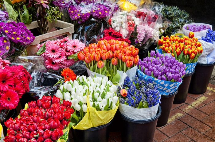 Berliner Wochenmärkte, große Vielfalt an Blumen, bunte Tulpen und Gerbera