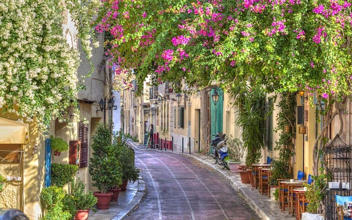 hotel athen eine alee in athen athen bepflanzung violete blumen grüne pflanzen überall die schönheit der warmen mediterranen länder griechenland italien architektur