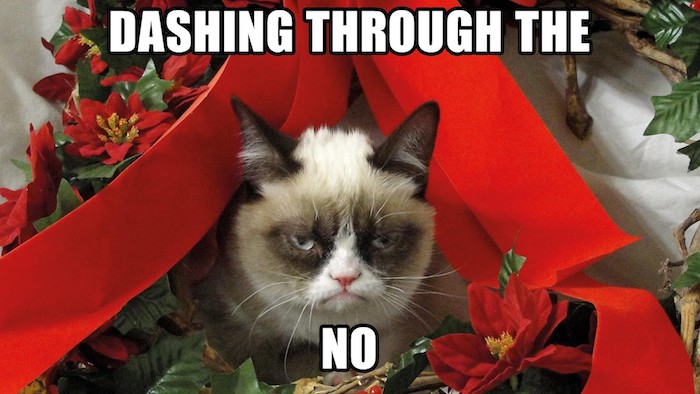 Weihnachtliche Bilder eine unglückliche Katze zwischen Weihnachtsdekorationen