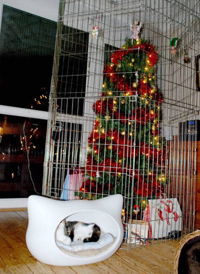 ein Weihnachtsbaum ist hinter Gittern, um vor der Katze geschützt zu werden - lustige Weihnachtsgrüße