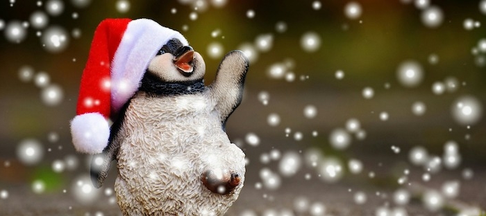 ein Pinguin mit Weihnachtsmütze genießt den Schnee mit Lächeln - Weihnachtsfotos