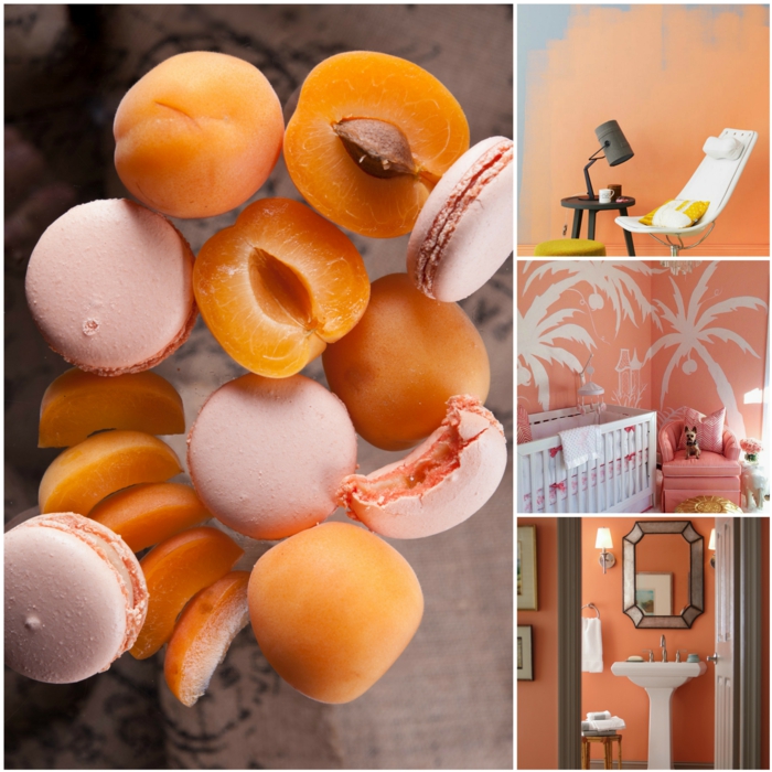 Apricot Farbnuancen, Aprikosen und französische Macarons, Wandfarbe Apricot in Bade-, Schlaf- und Wohnzimmer