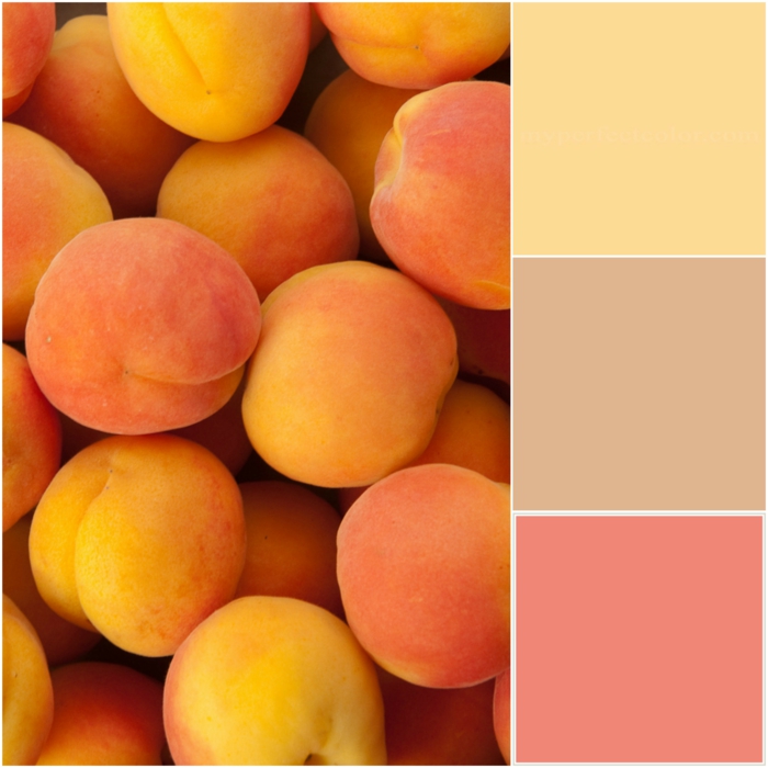 Apricot-Nuancen genießen, drei Farbtöne, Apricot als Wandfarbe passend in jeden Raum