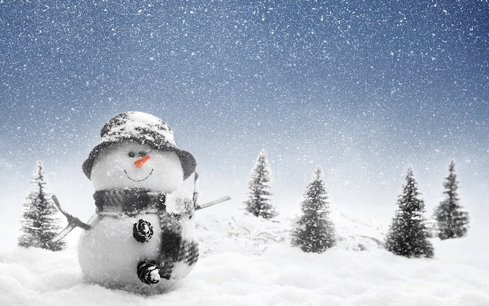 winterbild lustig - ein schneemann mit schal und hut und einer orangen nase und schwarzen augen - vier bäume und schnee und weiße schneeflocken 