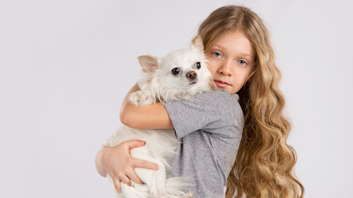 dunkelblonde Haare - ein Mädchen mit lockigen blonden Haaren trägt ein weißer Hund