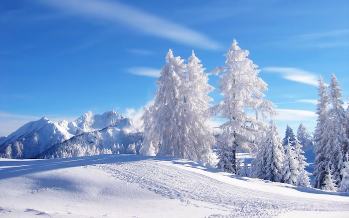 schönes winterbild mit einem blauen himmel mit weißen wolken und einem wald mit weißen bäumen miz schnee