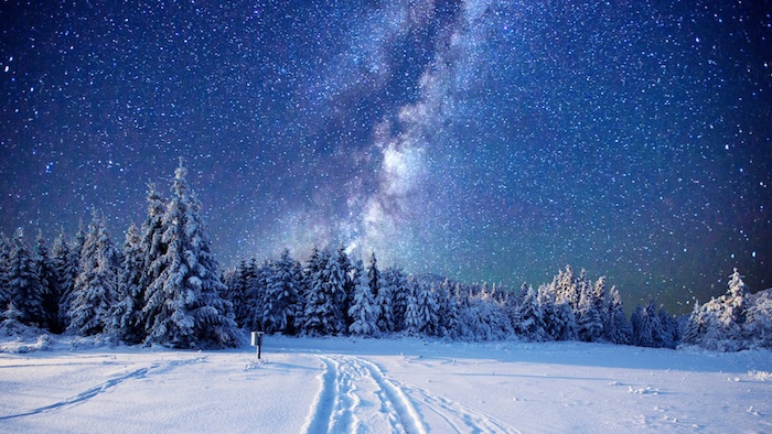 blauer himmel mit weißen sternen - ein wald mit vielen bäumen mit schnee - romantische winterbilder