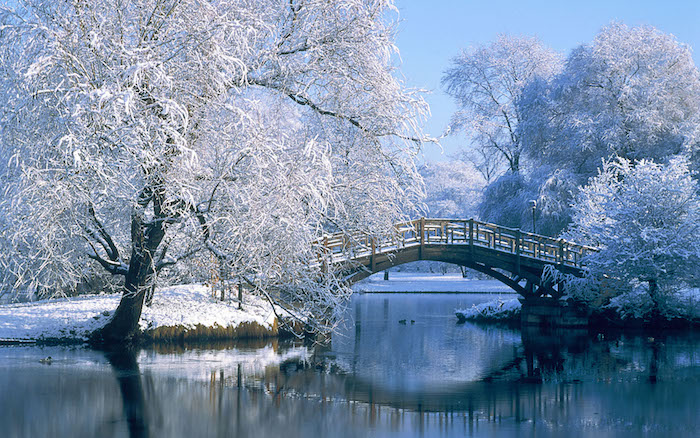 ein wintergarden mit weißen bäumen mit schnee, fluss und einer brücke - romantische winterbilder