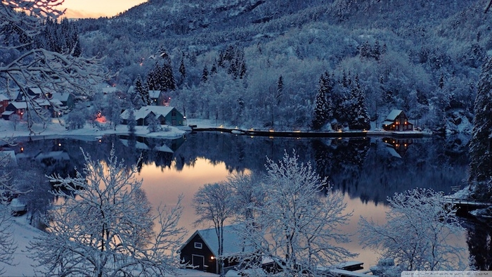 ein wald mit vielen bäumen mit schnee - ein see und kleine häuse - schönes winterbild