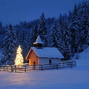 Einzigartige Winterbilder - genießen Sie die Schönheit des Winters!