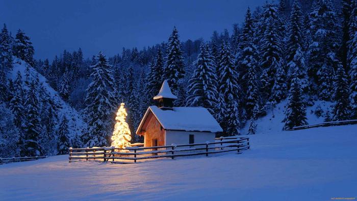 kleine kirche mit einem tannenbaum in der nacht - ein wald mit bäumen und schnee - romantische winterbilder 
