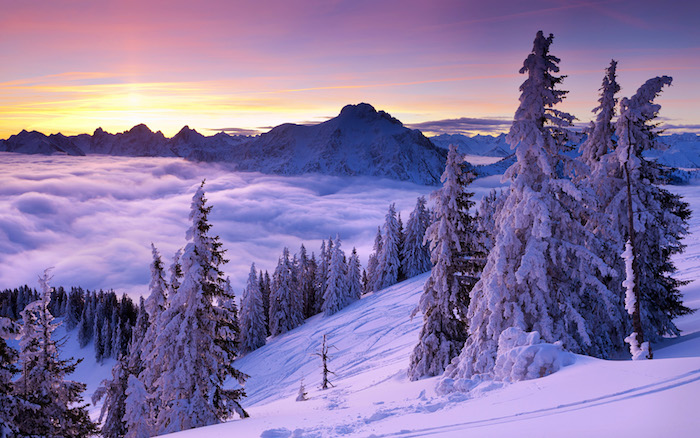 ein winterbild mit bergen mit schnee und wolken - ein wald mit viielen bäumen und schnee