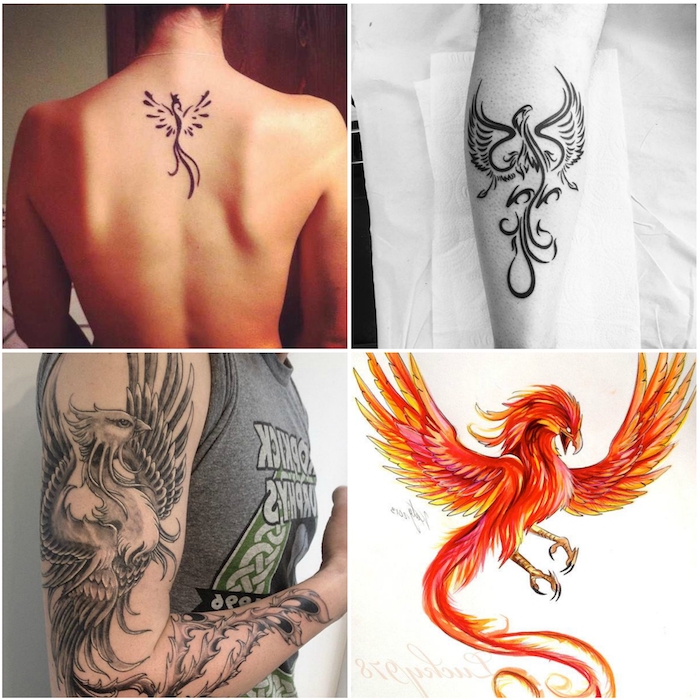vier ideenn für phönix tattoos - eine frau mit einem kleinen schwarzen tattoo mit einem schwarzen fliegenden phönix mit schwarzen federn - ein roter fliegender großer phönix mit roten und gelben und orangen federn - ein mann mit einem schwarzen phönix tattoo