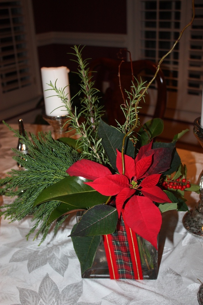 Gestecke selber machen - ein Weihnachtsstern in einem Blumentopf und Tannenzweige
