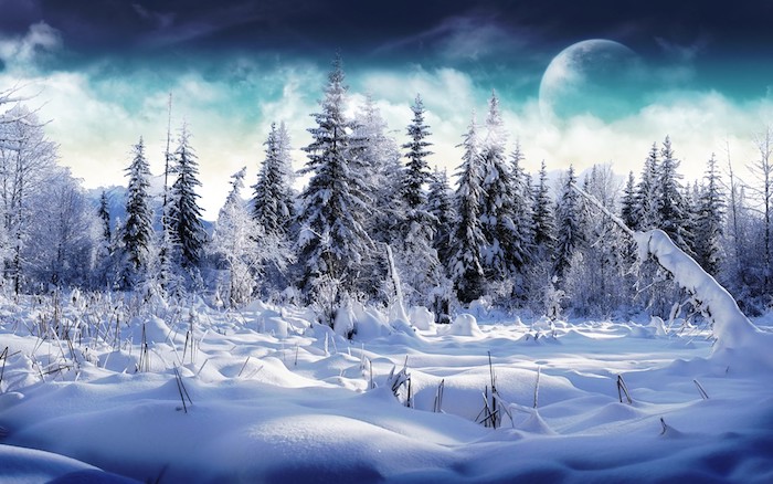 ein wald mit vielen bäumen und schnee - ein blauer himmel mit weißen wolken und einem großen mond - romantische winterbilder