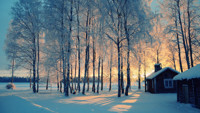 wald mit vielen bäumen und schnee im sonnenuntergang und zwei häuser -