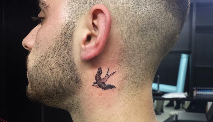 1001 Ideen Fur Ein Vogel Tattoo Infos Uber Ihre Symbolischen Bedeutungen