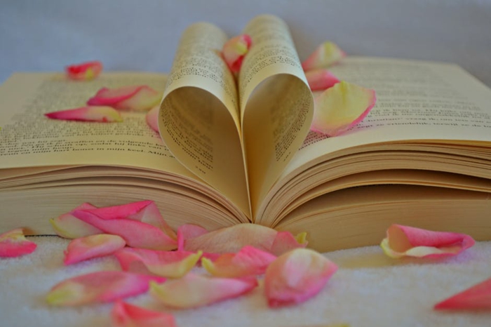 noch eine Buchüberraschung, Grüße zu Valentinstag, ein Herz aus zwei Blättern und rosa Blüten