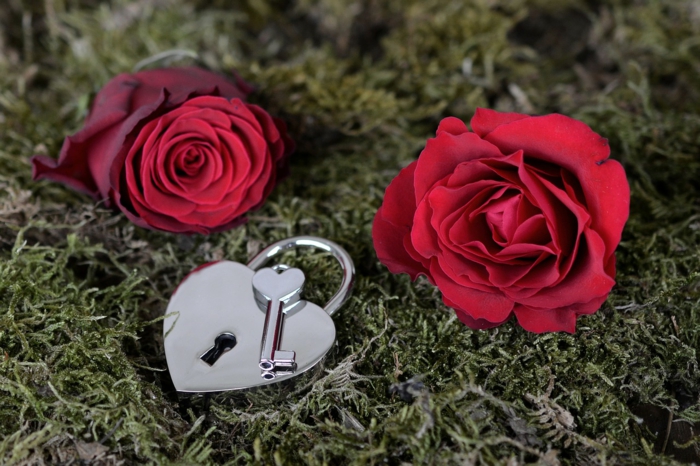 wie die beste Hintergrundbilder Liebe zu wählen - zwei rote Blumen und ein silbernes Schloss