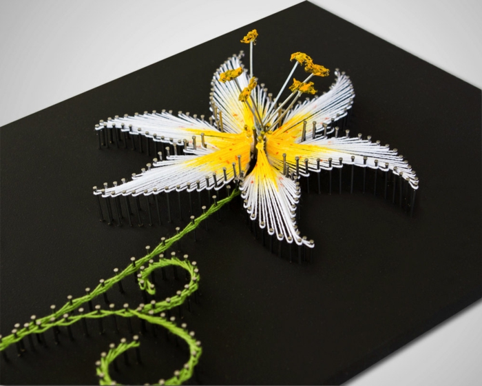 3D Fadenbilder von Blumen, eine weiße Blume, mit grüner Stiel und gelbe Inneren