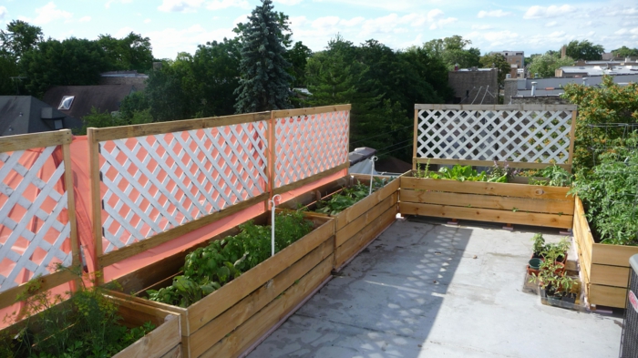 Selbstversorger Garten, Pflanzkübel aus Holz, Tomaten und andere Gemüse