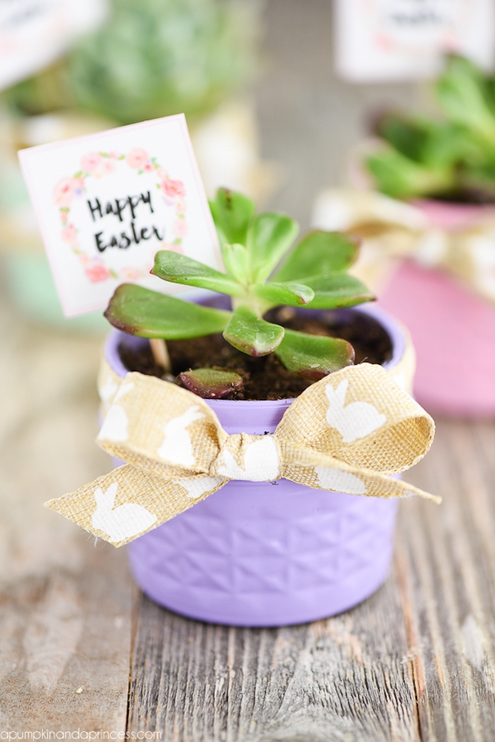 Tolle Idee für Frühlingsdeko, grüne Pflanze in kleinem lila Blumentopf, Grußkarte mit kleinen Blüten