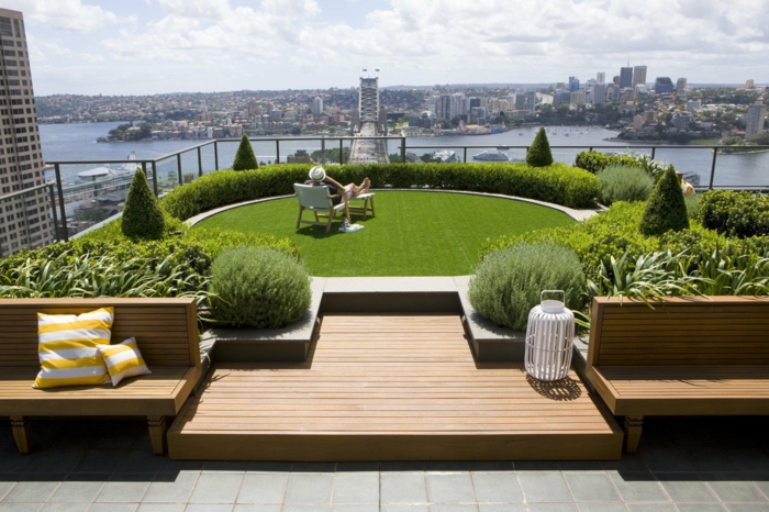 eine sonnige Terrasse mit Rasen, viele Pflanzen mit scharfen Spitzen, Terrassenpflanzen