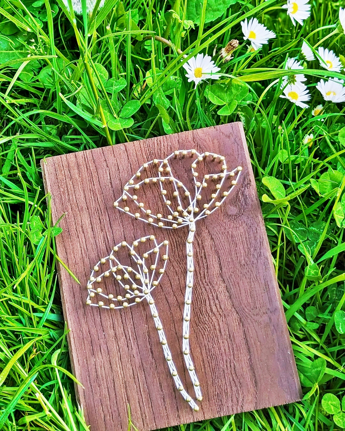 faden bilder zum selbermachen ideen blumen mohnblumen aus weissem garn 