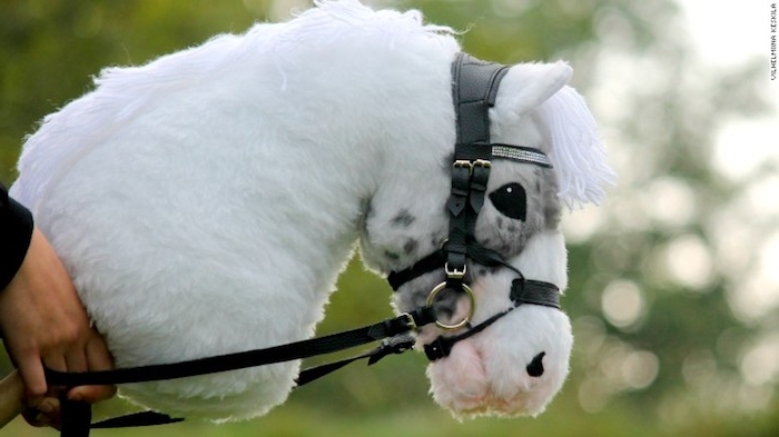 ein kleines weißes pferd mit einer weißen dichten mähne und mit schwarzen augen, hände und ein selbatgebasteltes steckenpferd
