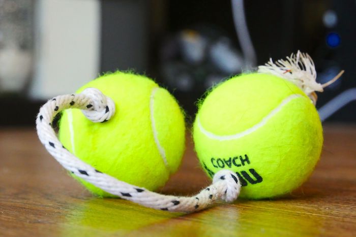 hundespielzeug ball, spielzeug aus zwei tennisbällen und seil, selbstgemachtes spielzeug für hunde