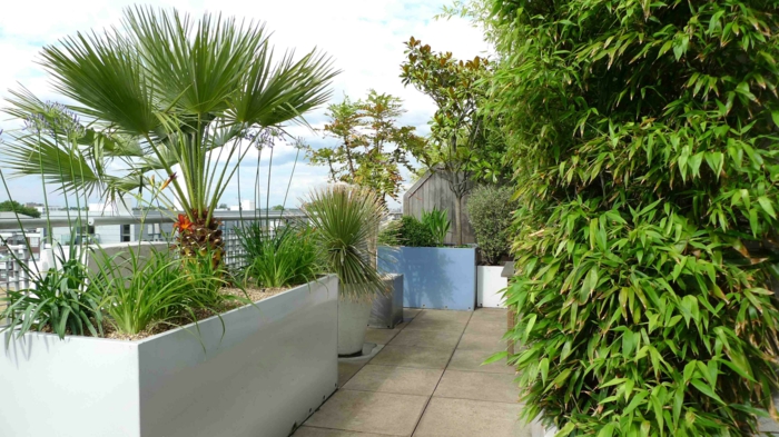Pflanzkübel mit exotischen Pflanzen, große Fliesen Bodenbelag, Terrassen Ideen Bilder