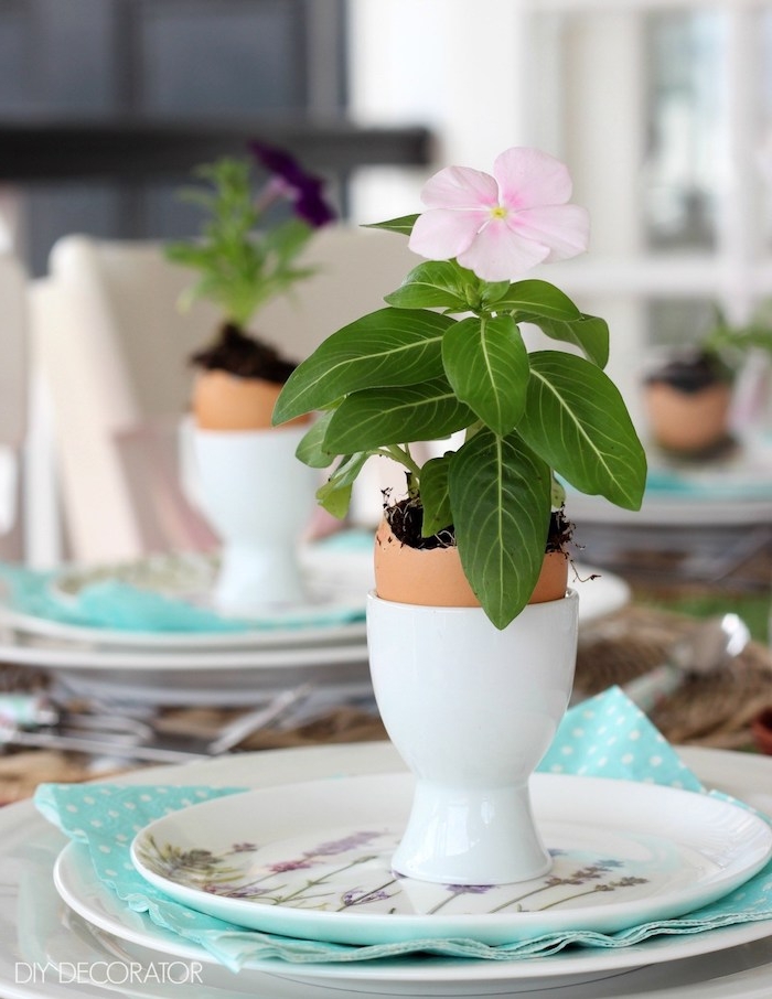 Echte Blume in Osterei, kreative DIY Idee für Osterdekoration, weiße Porzellanteller mit Lavendel