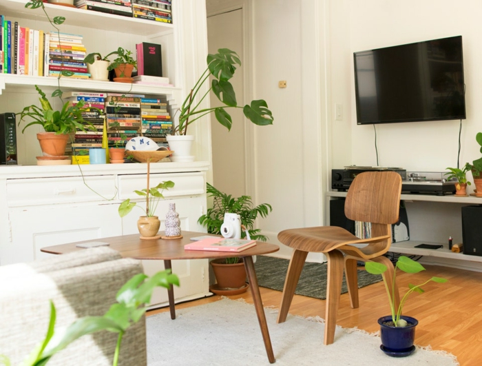 ein Zimmer voller grüne Pflanzen, Tischlein und Stuhl aus Holz, Wohnzimmer Fernsehwand