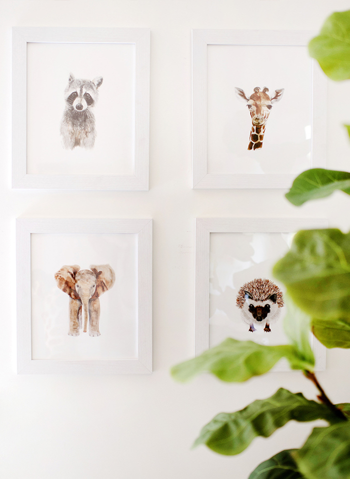 Bilder an der Wand, weiße Rahmen, Waschbär Giraffe Elefant und Igel, grüne Pflanze
