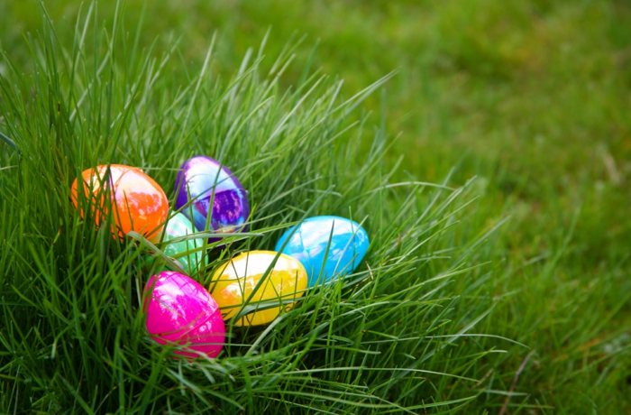 gut versteckte Eier auf einer Wiese für die Kinder zu finden, Ostereier bemalen mit Kindern