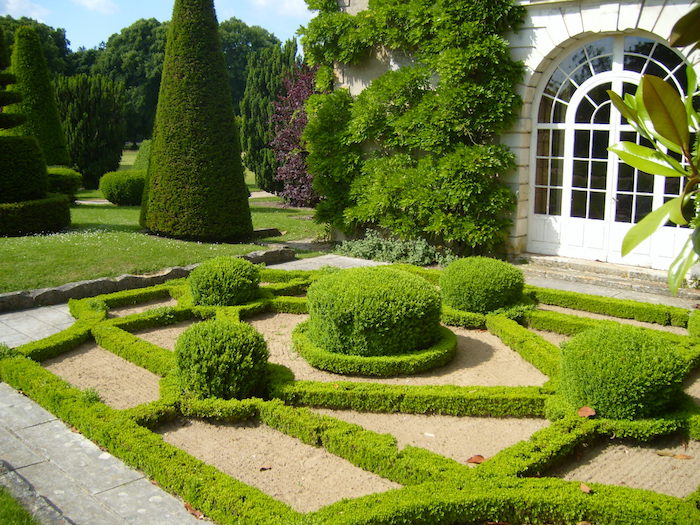 gartengestaltung beispiele, labyrinth aus grünen büschen, hintergarten dekorieren 
