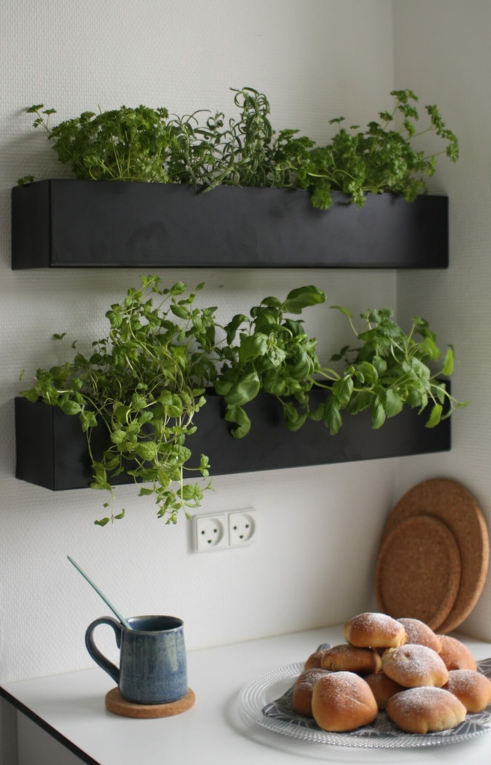 schwarze Beete formen einen vertikalen Garten in der Küche, kreative Küchenwand
