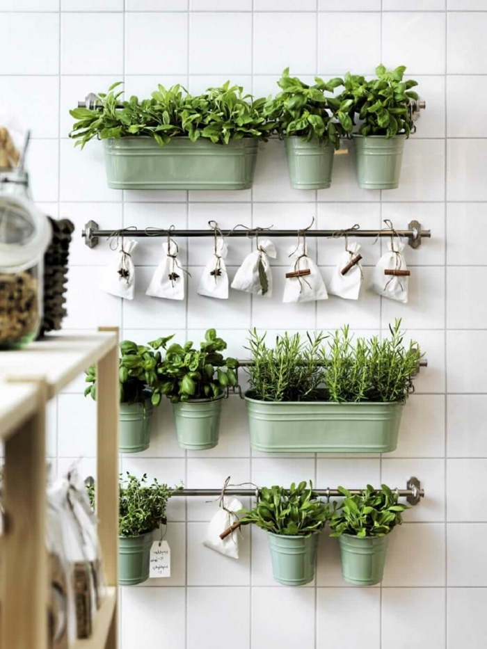 grüne Beete und kleine weiße Tüten, ein vertikaler Garten, grüne Küchenwand