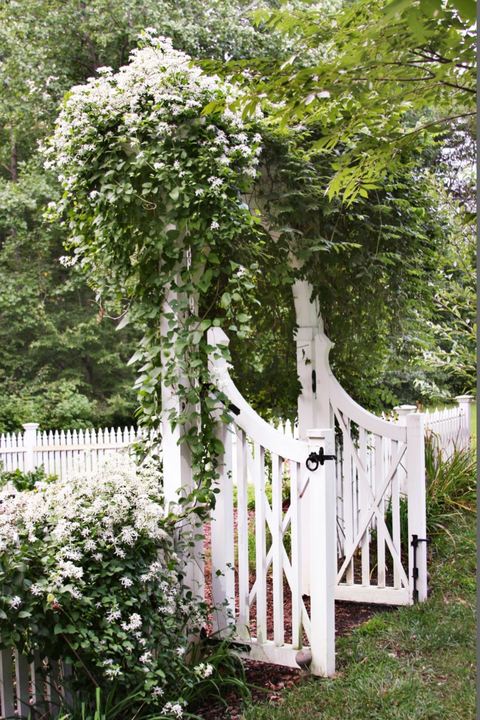 Garten anlegen günstig, niedriger weißer Zaun mit geöffnete Pforte, weiße Kletterblumen
