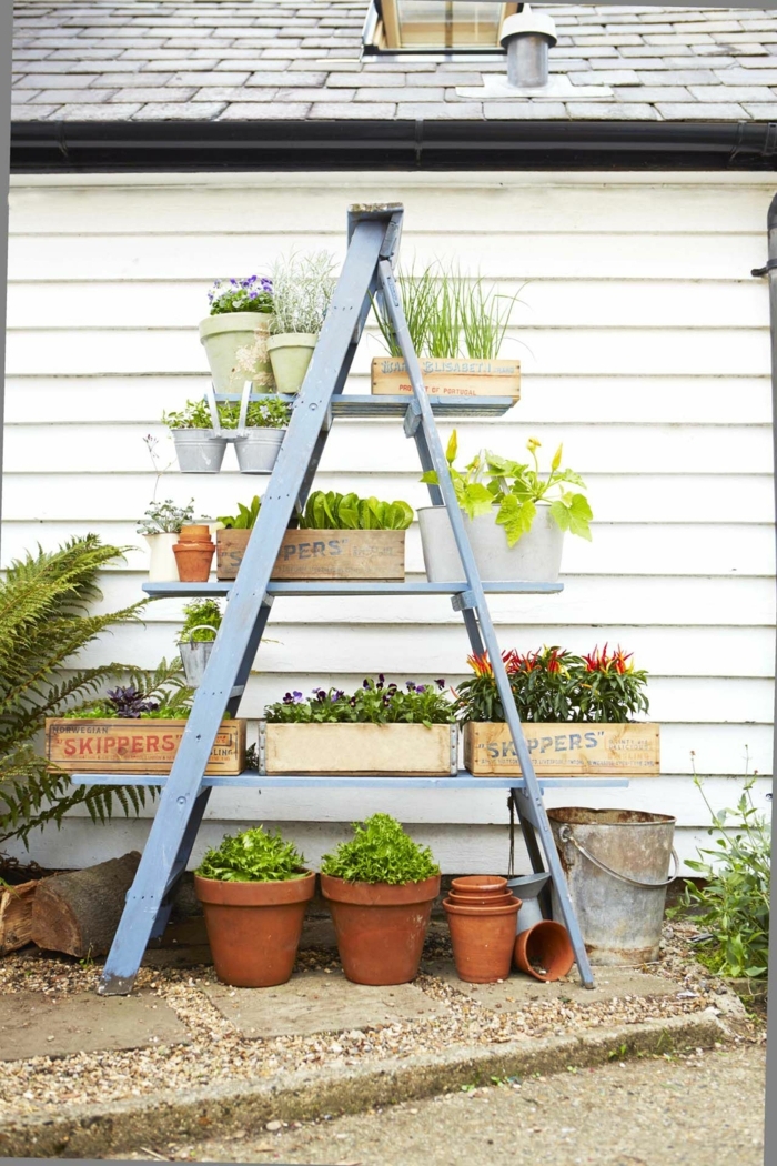 eine Leiter in blauer Farbe als Abstellraum, Bretter mit Pflanzenkübel, im Hinterhof