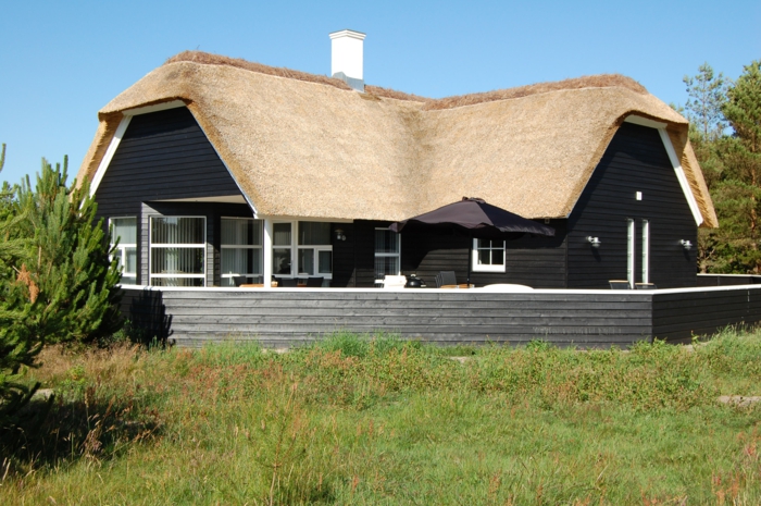 ein strohgedecktes Haus mit einer Wiese vorn an der dänischen Nordseeküste