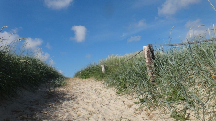 ein Sandweg an der dänischen Nordseeküste, von einem Zaun umgeben