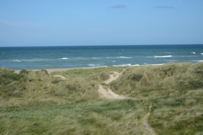Strand und Düne, kleiner Sandweg an der dänischen Nordseeküste