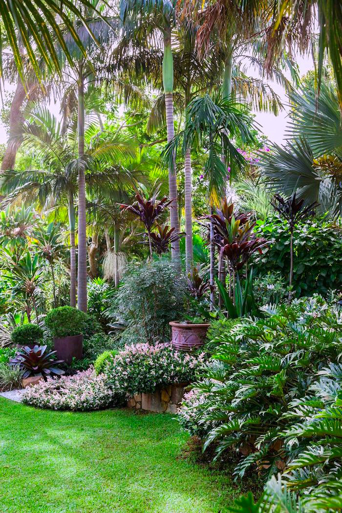 ideen gartengestaltung, große palmen, tropische bäume, grüner gras, busch mit blumen
