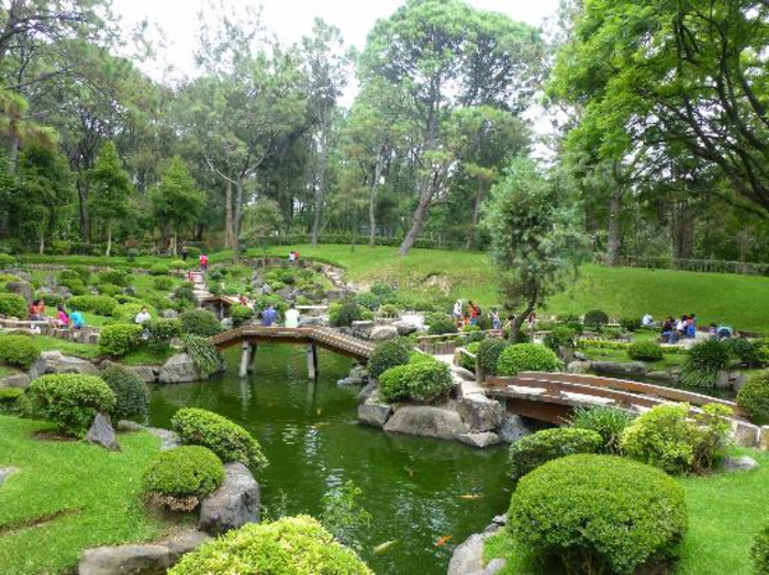 ein großer gemütlicher Garten mit Teich zum Entspannen in Natur, Garten anlegen günstig