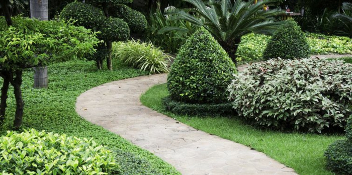 ein Gartenweg zwischen Beete mit grünen Pflanzen, Garten anlegen günstig, ein Rasen